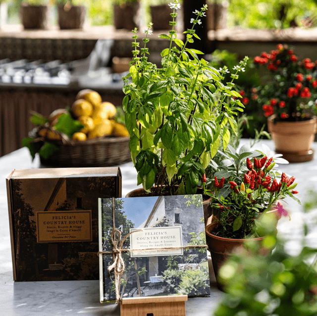 Felicia’s Country House ~ Tales from the Country House | The Book